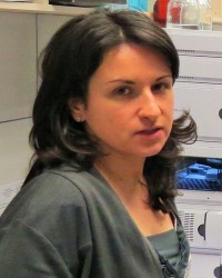Prof. dr Ivana Mihajlović