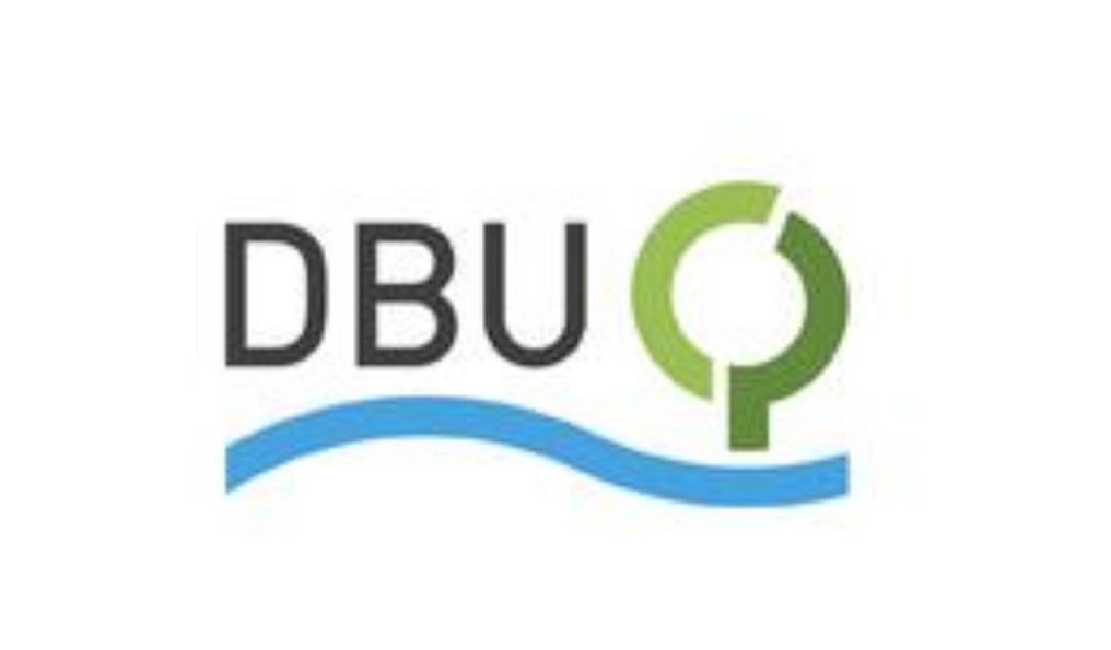 Infosesija o stipendijama DBU fondacije za praksu u institucijama u Nemačkoj